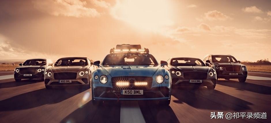 探索自然美景的心灵之旅,最新完结小说精选