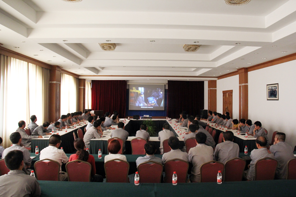 最新枞阳新闻动态更新