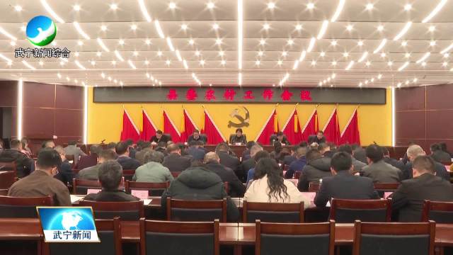 武宁最新新闻,城市中的温馨日常报道