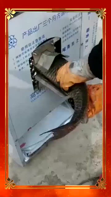 最新杀鱼机,享受团聚乐趣的必备娱乐神器