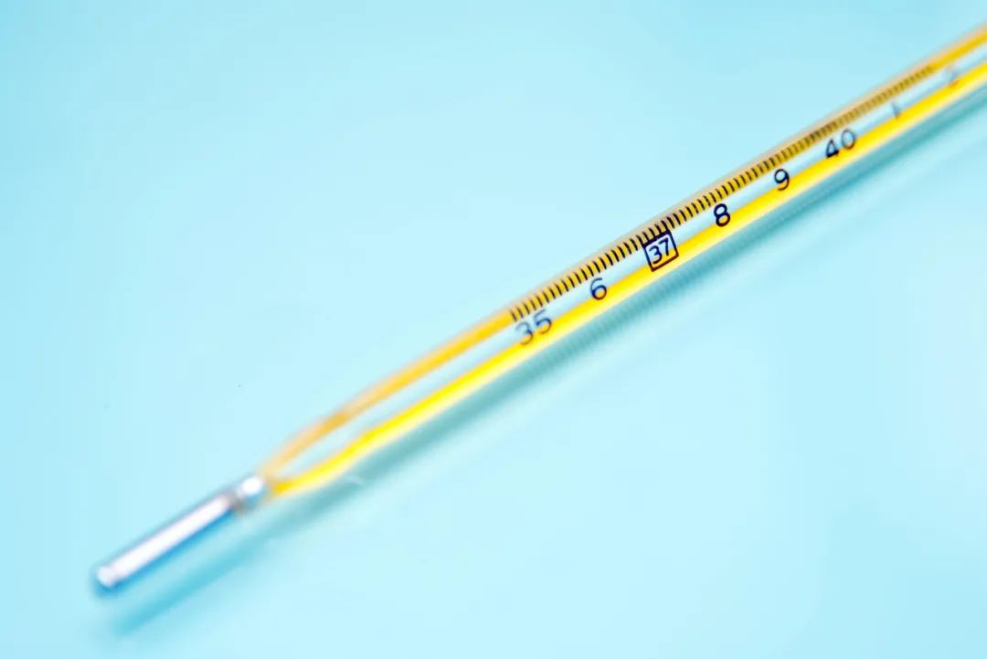 白汞最新价格,一段关于友情与陪伴的感人故事