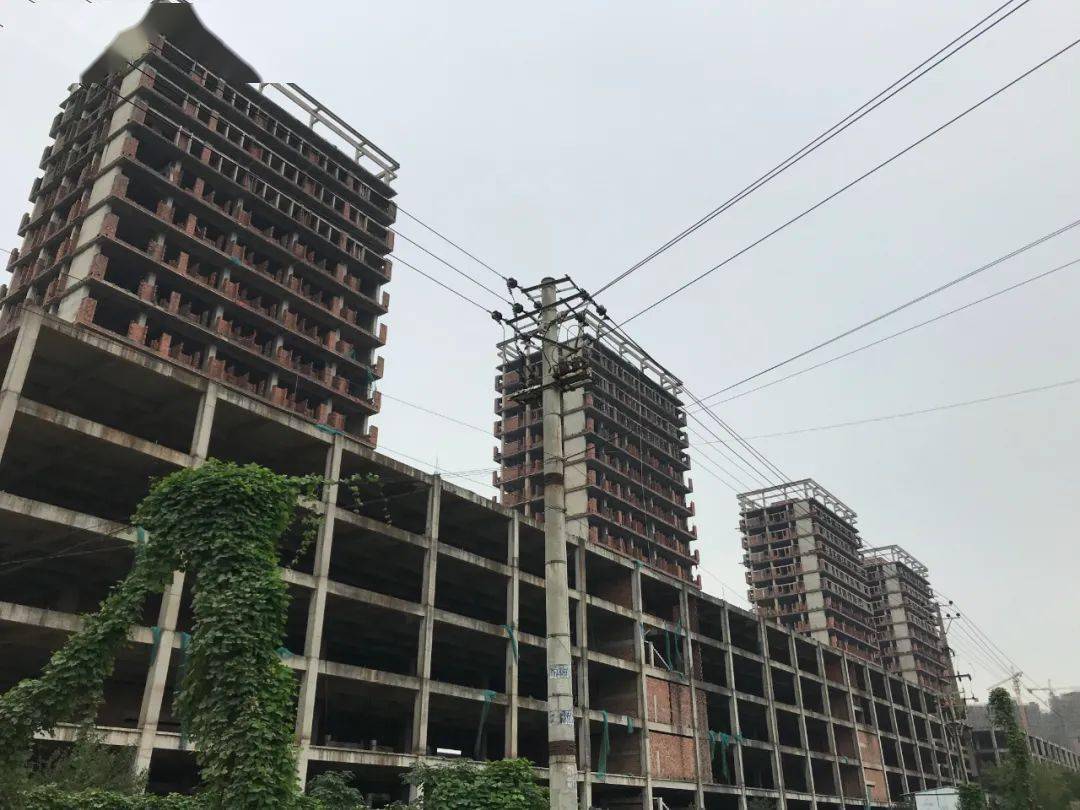 丰城同创蓬勃发展,最新创新力量动态解析