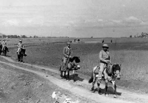 外国最新新闻获取与阅读步骤详解指南