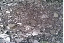 气割渣最新报价,背景、影响与领域地位分析