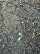 气割渣最新报价,背景、影响与领域地位分析