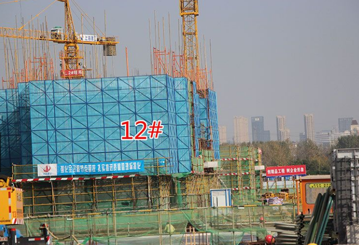 西子曼城最新动态,温馨日常的趣事