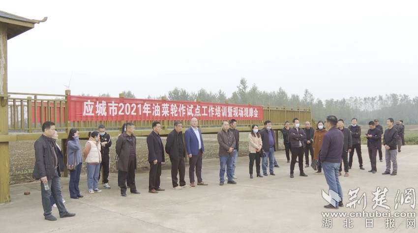 应城最新新闻报道