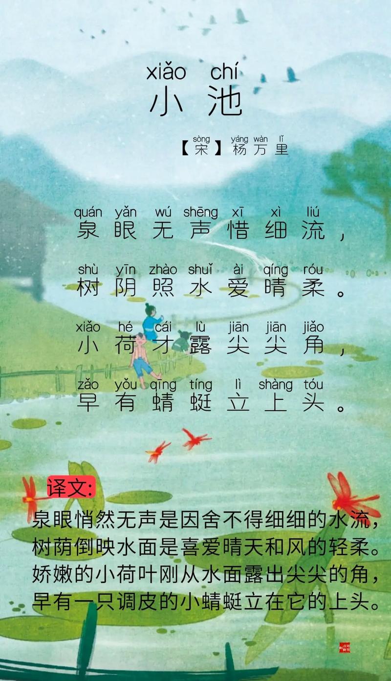 小池开发最新动态，探索自然美景之旅，寻找内心平和宁静的旅程
