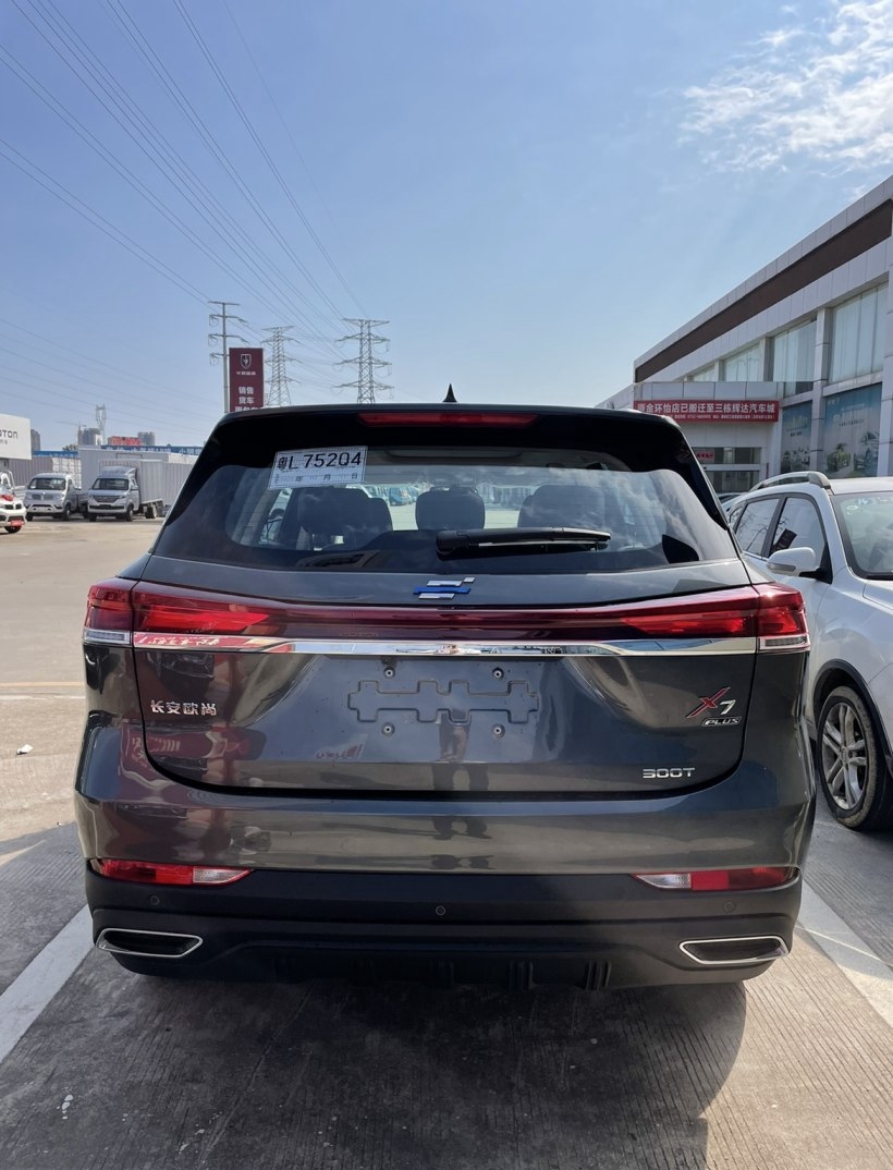 独家深度解读与赏析,最新国产三级影片精选🌟(绝对干货!)