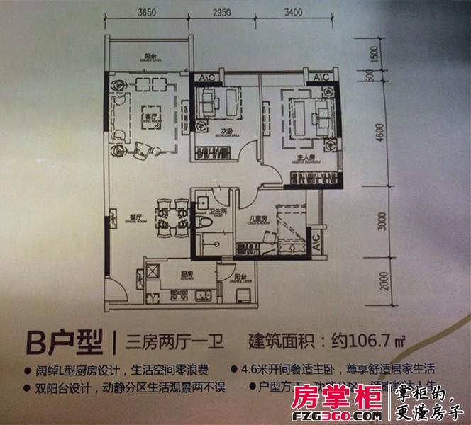 时代长岛最新报价及其背后的温馨故事揭秘