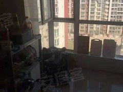 乐亭最新房价动态,背后的故事与自信的成长旅程