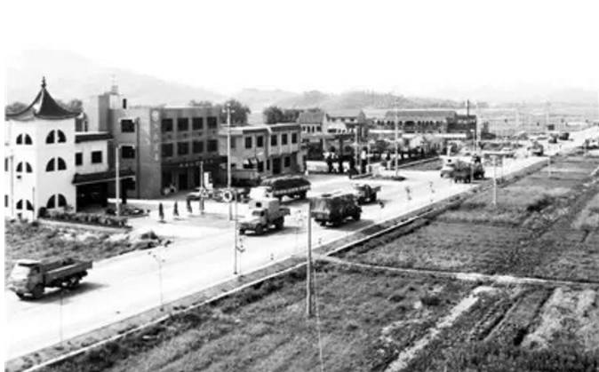 德清最新新闻报道