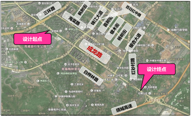 成龙大道最新规划详解与论述