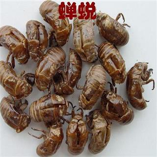 蝉蜕引领未来潮流,最新价格与科技进步共舞的生活价值