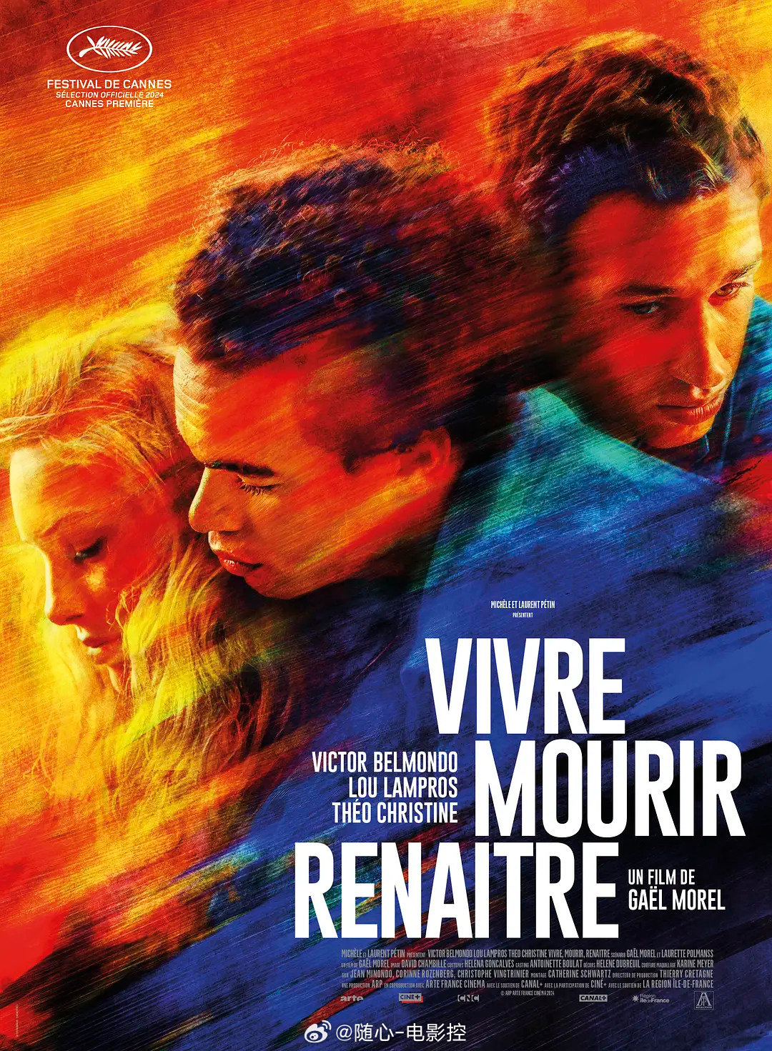 新视觉最新电影,一场温馨的电影之旅之旅