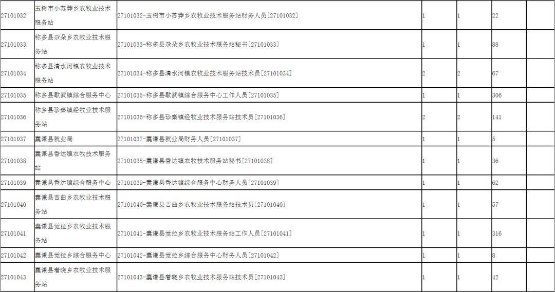 玉树最新招聘，探寻职业发展的新起点