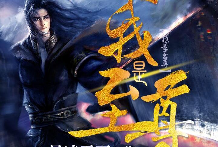 至尊文化魅力探索,最新视角下的独特体验