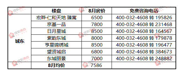 东城最新楼盘探秘,小巷风情与隐藏特色小店