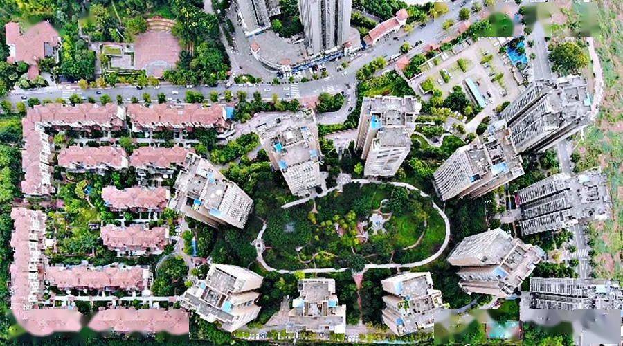 重庆忠县最新动态更新速递