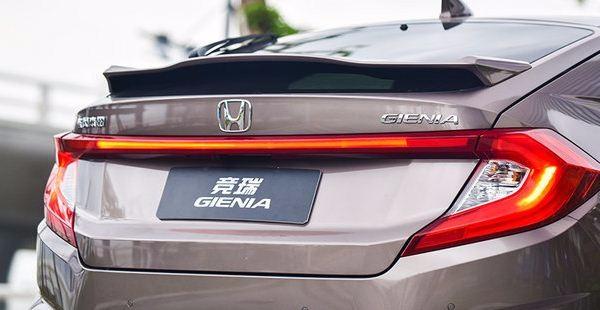 竞瑞最新视频聚焦解析,要点一网打尽