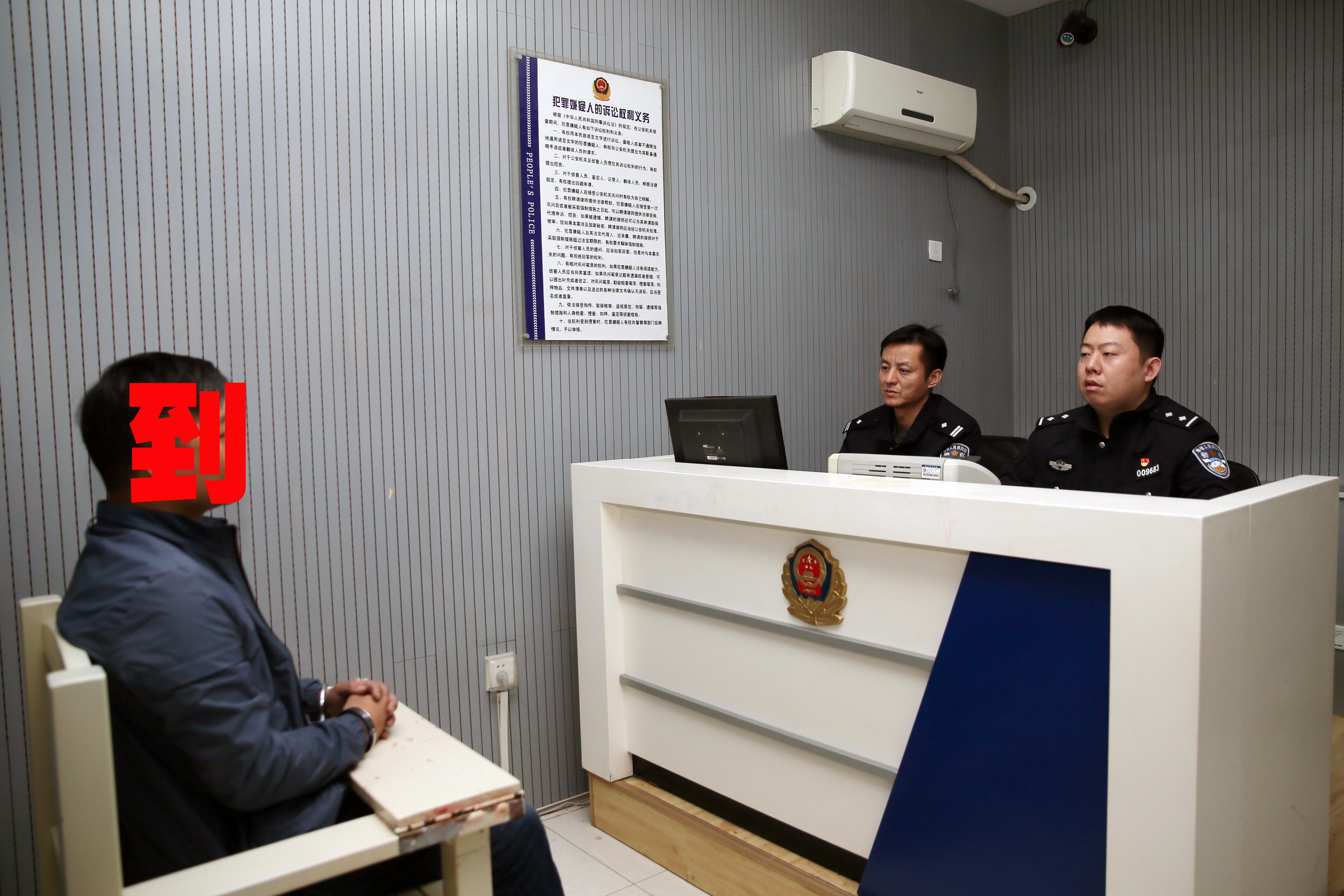 最新聊城动态,自然美景中的内心平和之旅