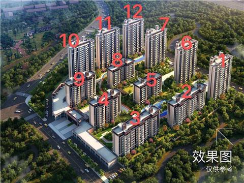 即墨最新楼盘，与自然美景相遇，内心平和之旅启动