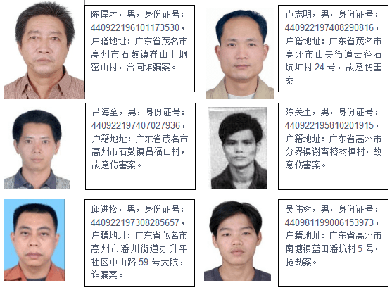 遂溪最新通缉名单揭秘,背后的故事与影响探究