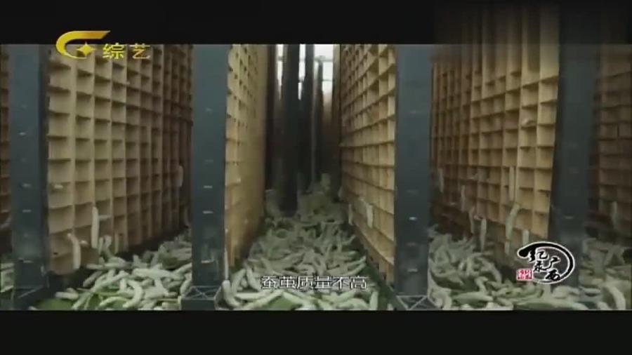 洗车服务 第82页