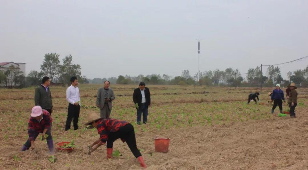 民和最新新闻热点,爱与陪伴的力量,温馨日常趣事回顾