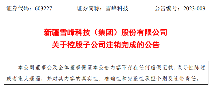 雪峰科技,小巷中的隐藏宝藏,探索特色小店的最新公告
