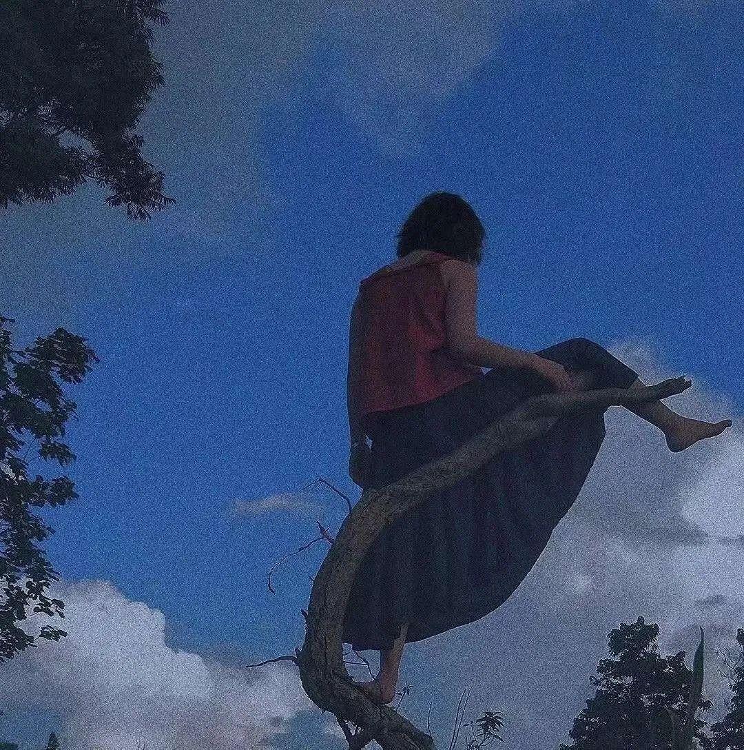 最新隐藏表白,情感表达的微妙艺术