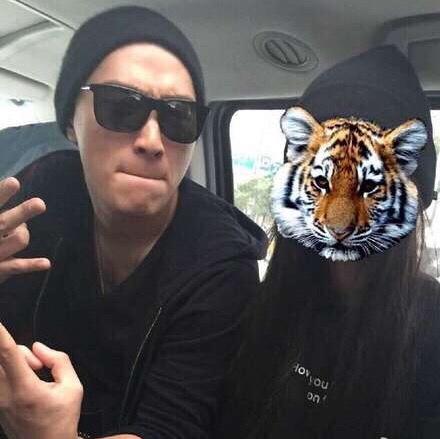 最新隐藏表白,情感表达的微妙艺术