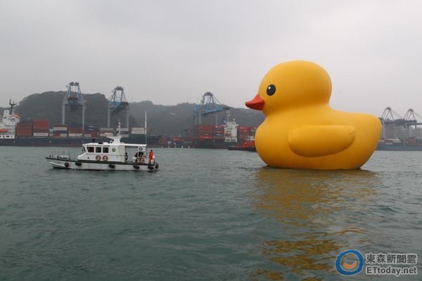 最新黄小鸭,小黄鸭的励志故事,揭示学习变化的力量