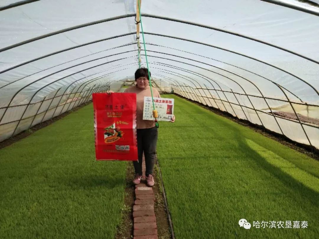 土创最新，挖掘潜力，重塑自我，为生活赋予无限可能