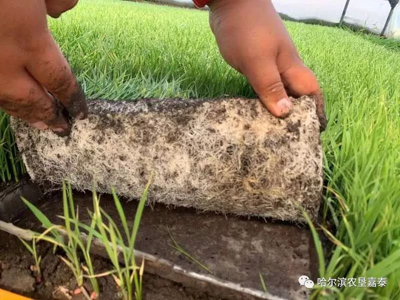 土创最新,挖掘潜力,重塑自我,为生活赋予无限可能