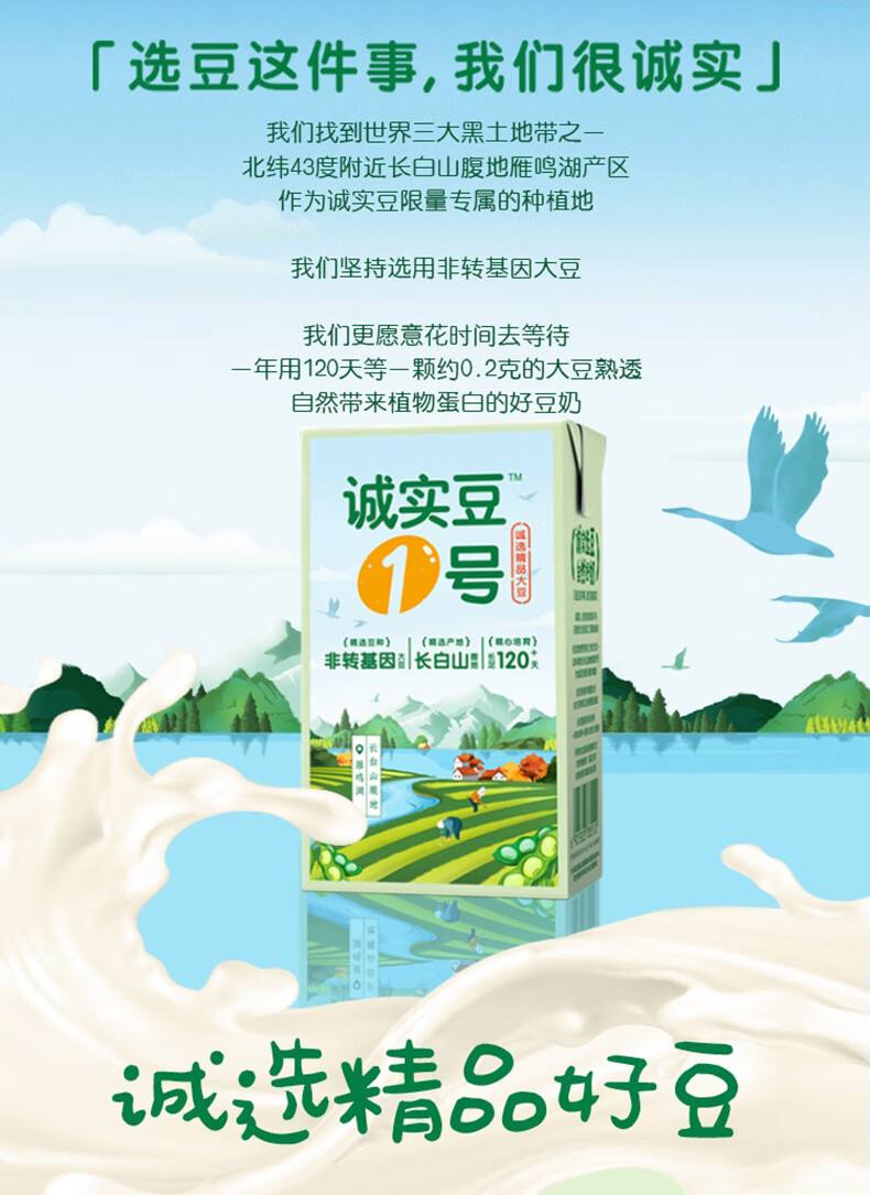 探索小巷美味秘境,最新豆奶盛宴,味蕾的狂欢