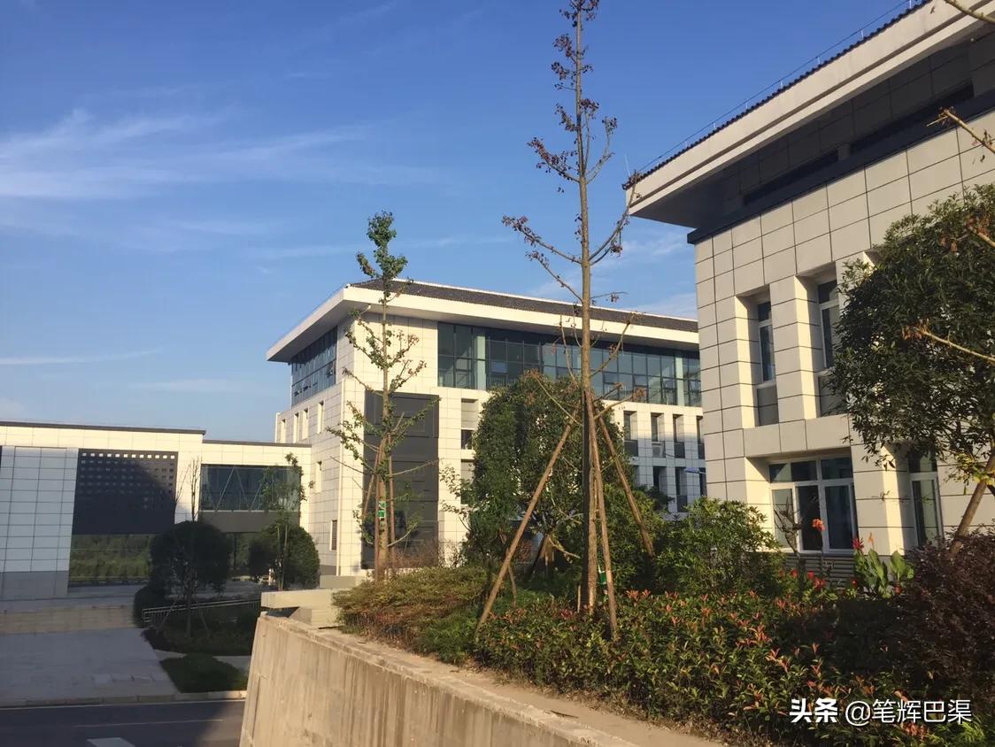 犀牛语音最新科技,智能沟通重塑生活,开启智能新纪元