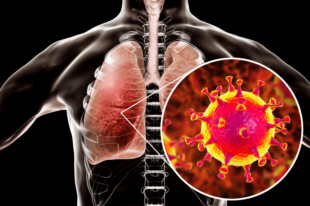 阜新最新肺炎资讯,警惕疫情动态,共同守护家园