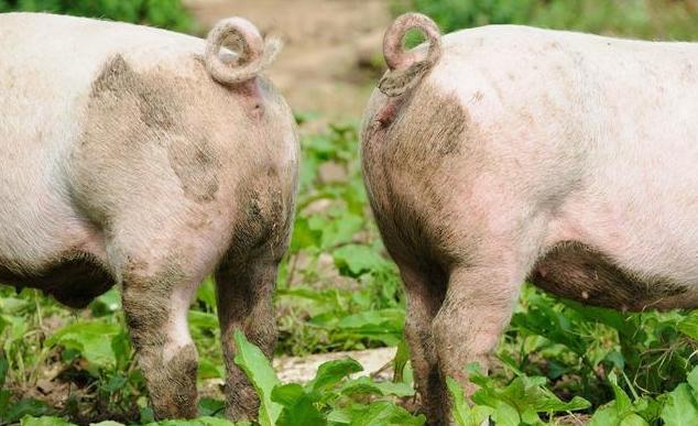 最新拐点时间揭秘,小巷深处的隐藏宝藏探索