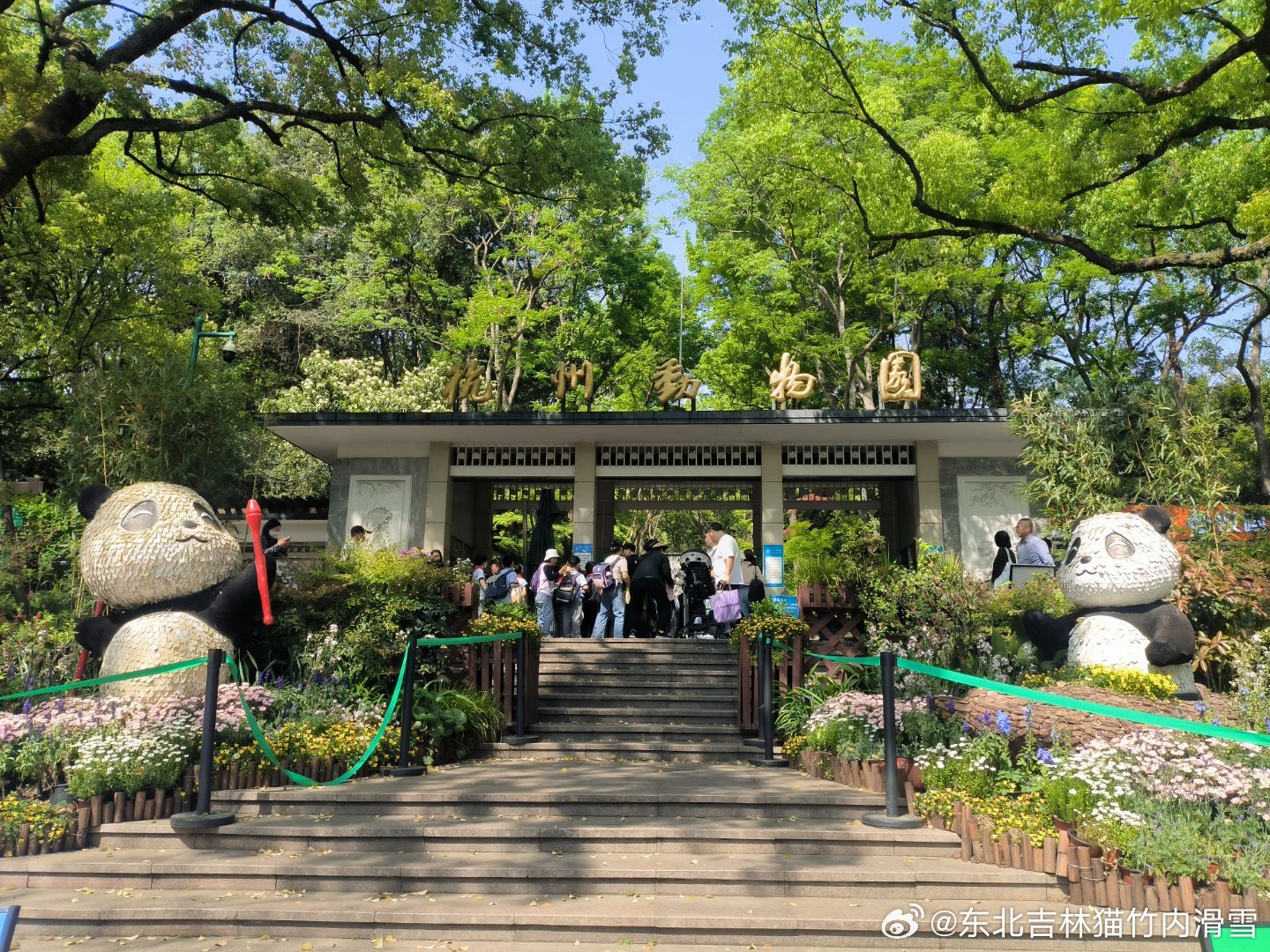 探索自然美景的轻松之旅,最新园内大门探访记