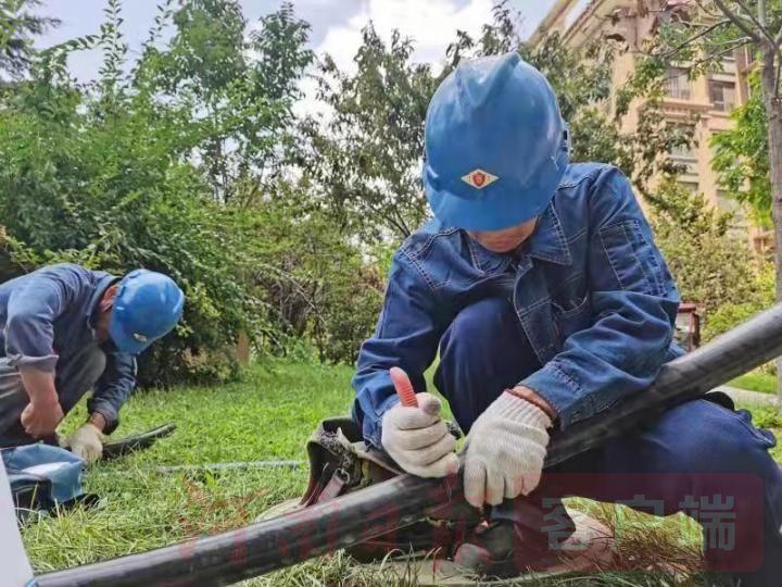 安徽洪灾应对指南,从初级到进阶,应对步骤详解