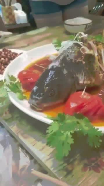 最新鱼视频观赏与分享,任务完成指南与技能学习教程