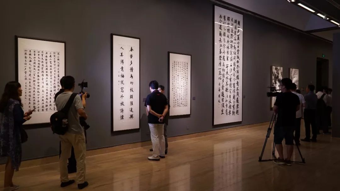 最新展阴现象,深度解析与观点阐述