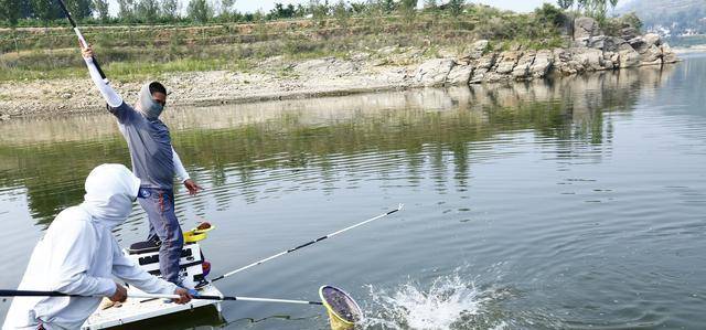 科学钓鱼最新论述解析