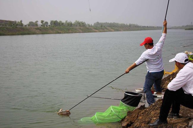 科学钓鱼最新论述解析