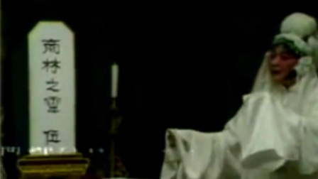 最新梅吊孝,一场温馨有趣的日常故事