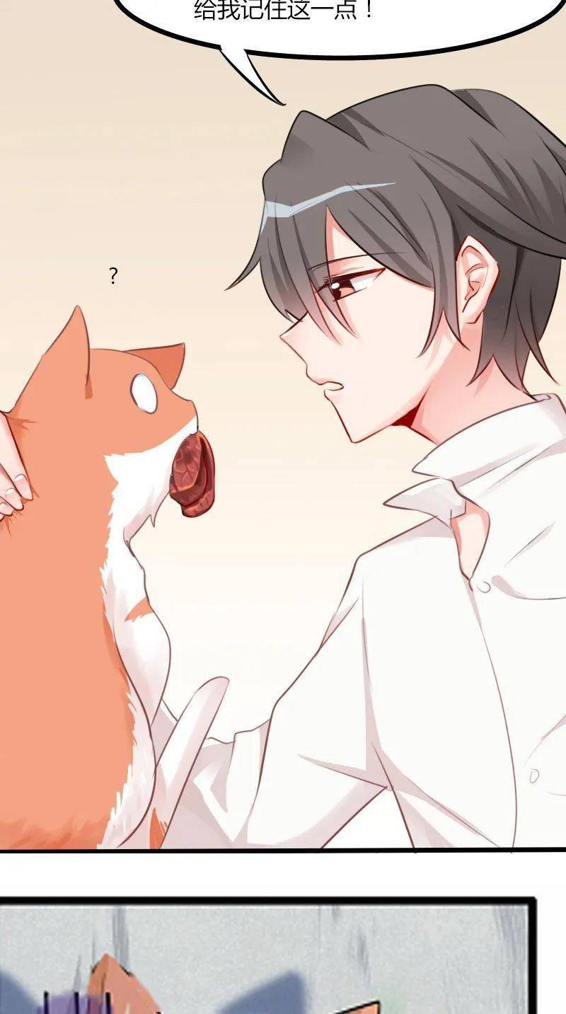 最新漫画恋爱,现代情感的视觉盛宴