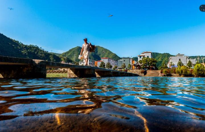 宁海在线最新论述分析概览