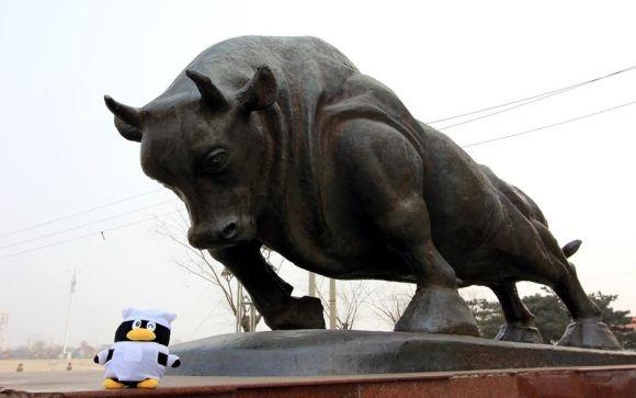 铁牛视频最新,科技引领下的内容创新