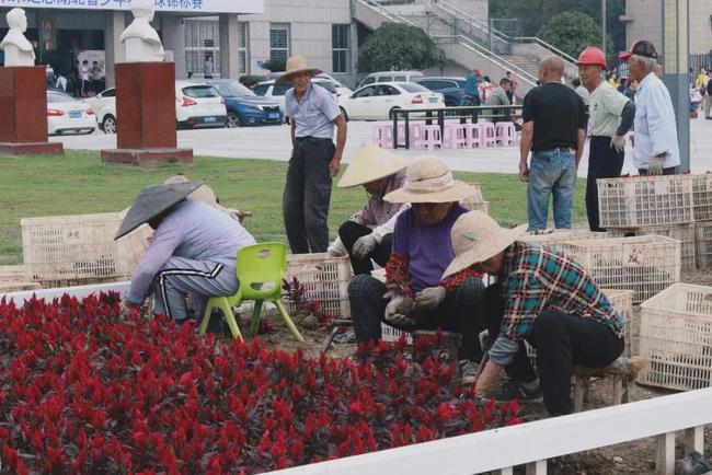 仙桃逐步解封最新动态及未来展望